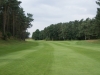GC Falkenstein
