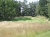 GC Falkenstein - Loch 1
