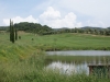 il Pelagone