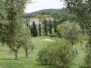 il Pelagone